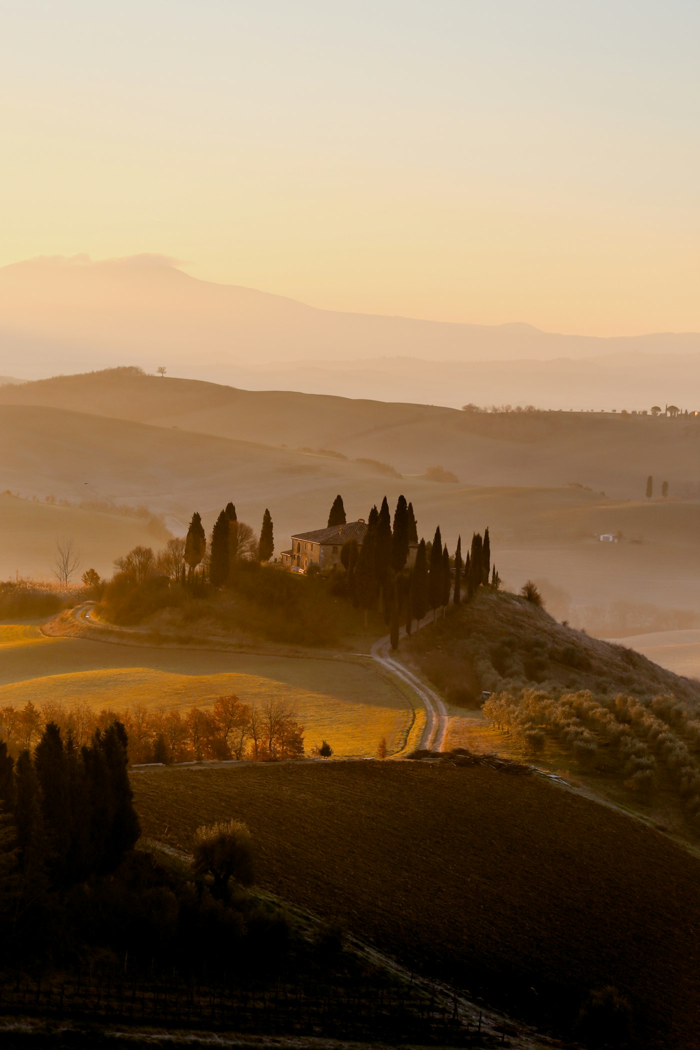 Colline toscane all'alba con cipressi e casale