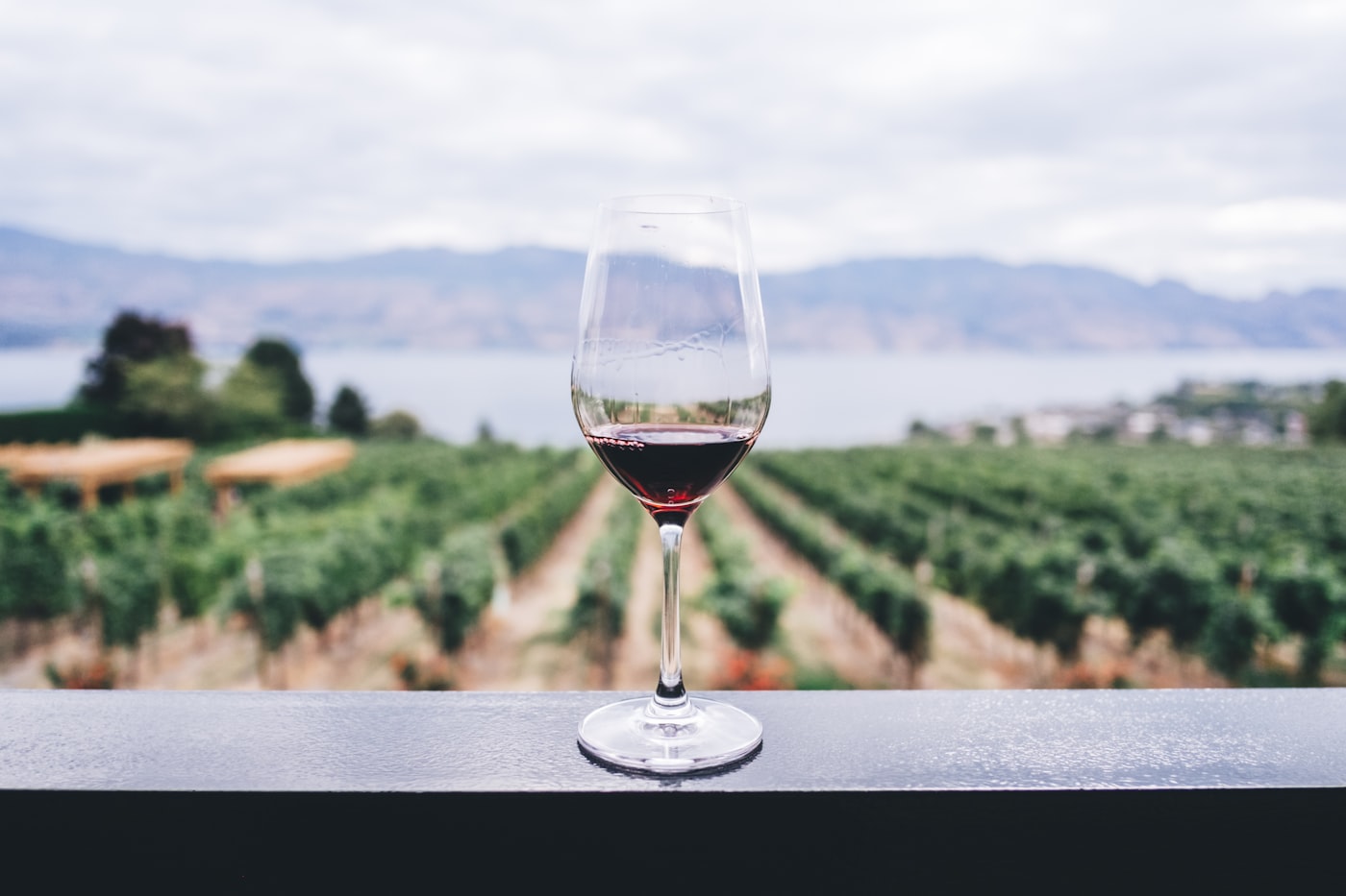 Calice di vino rosso davanti alle vigne